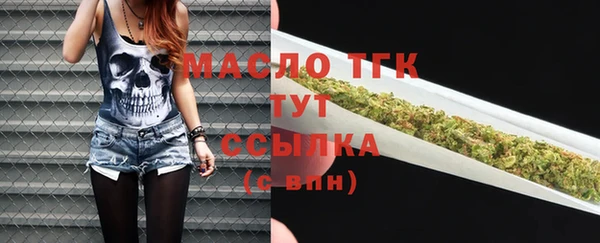 дмт Пестово