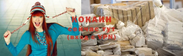 дмт Пестово