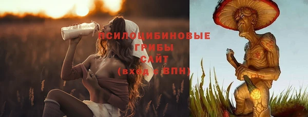 ешки Пересвет