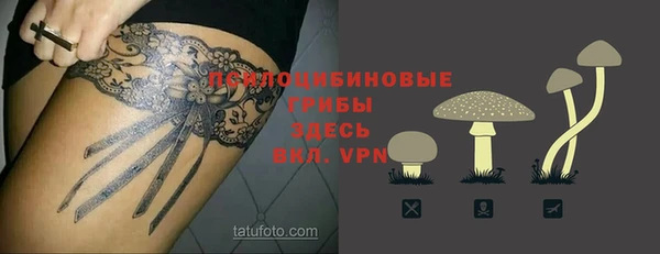 ешки Пересвет