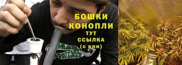 дмт Пестово