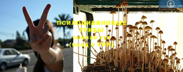 дмт Пестово